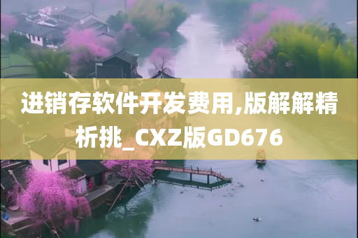 进销存软件开发费用,版解解精析挑_CXZ版GD676