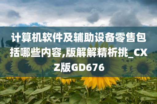 计算机软件及辅助设备零售包括哪些内容,版解解精析挑_CXZ版GD676