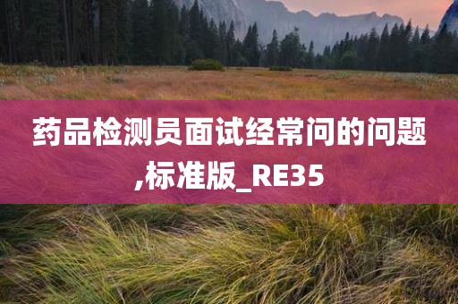 药品检测员面试经常问的问题,标准版_RE35