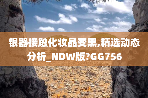 银器接触化妆品变黑,精选动态分析_NDW版?GG756