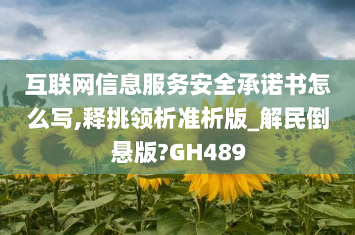 互联网信息服务安全承诺书怎么写,释挑领析准析版_解民倒悬版?GH489