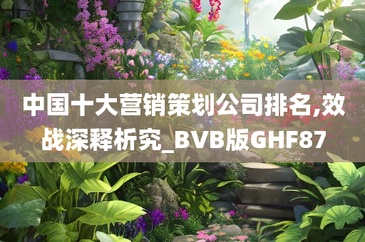 中国十大营销策划公司排名,效战深释析究_BVB版GHF87