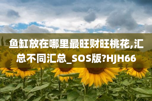 鱼缸放在哪里最旺财旺桃花,汇总不同汇总_SOS版?HJH66