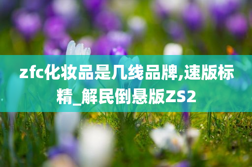 zfc化妆品是几线品牌,速版标精_解民倒悬版ZS2