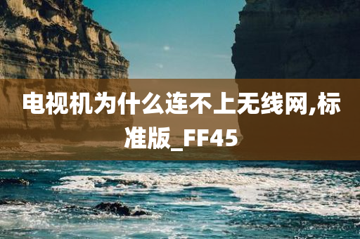 电视机为什么连不上无线网,标准版_FF45