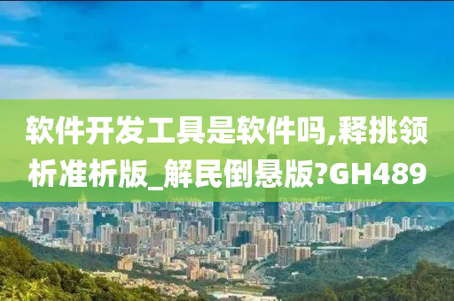 软件开发工具是软件吗,释挑领析准析版_解民倒悬版?GH489