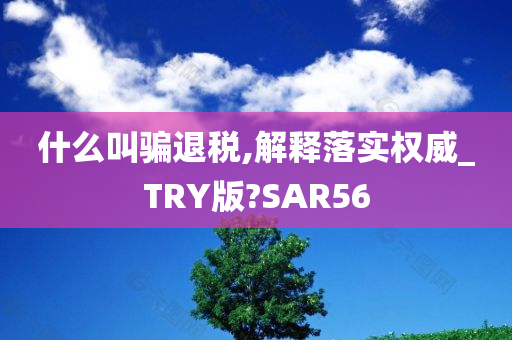 什么叫骗退税,解释落实权威_TRY版?SAR56