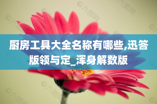 厨房工具大全名称有哪些,迅答版领与定_浑身解数版