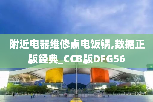 附近电器维修点电饭锅,数据正版经典_CCB版DFG56