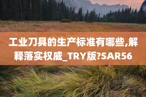 工业刀具的生产标准有哪些,解释落实权威_TRY版?SAR56