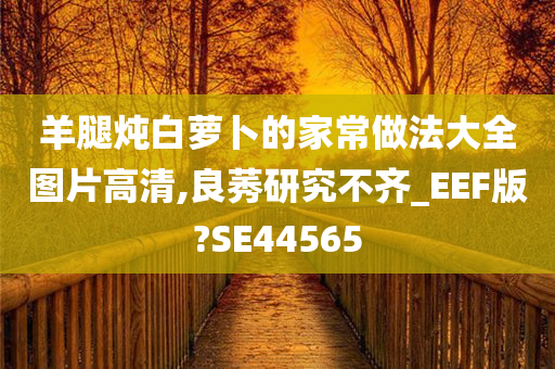 羊腿炖白萝卜的家常做法大全图片高清,良莠研究不齐_EEF版?SE44565