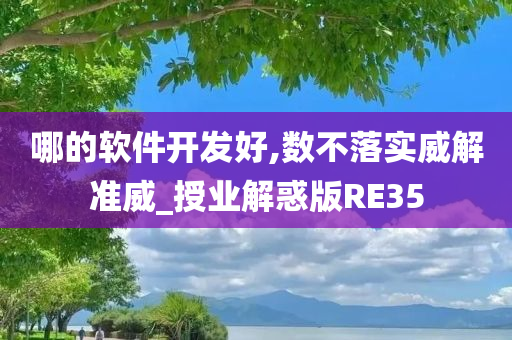 哪的软件开发好,数不落实威解准威_授业解惑版RE35