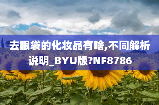 去眼袋的化妆品有啥,不同解析说明_BYU版?NF8786