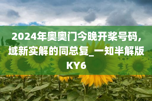 2024年奥奥门今晚开桨号码,域新实解的同总复_一知半解版KY6