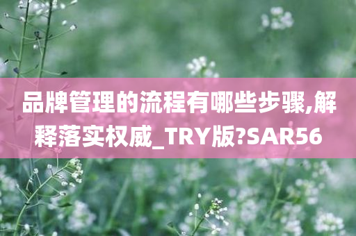 品牌管理的流程有哪些步骤,解释落实权威_TRY版?SAR56