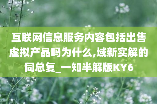 互联网信息服务内容包括出售虚拟产品吗为什么,域新实解的同总复_一知半解版KY6