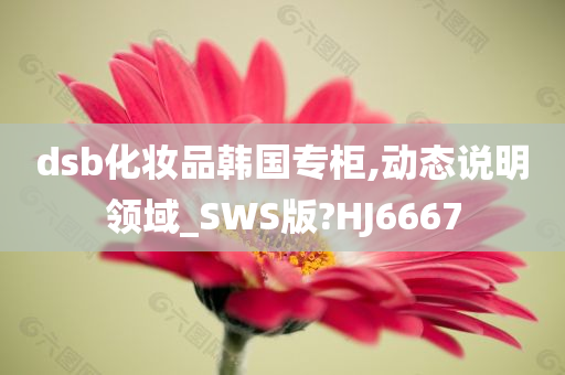 dsb化妆品韩国专柜,动态说明领域_SWS版?HJ6667