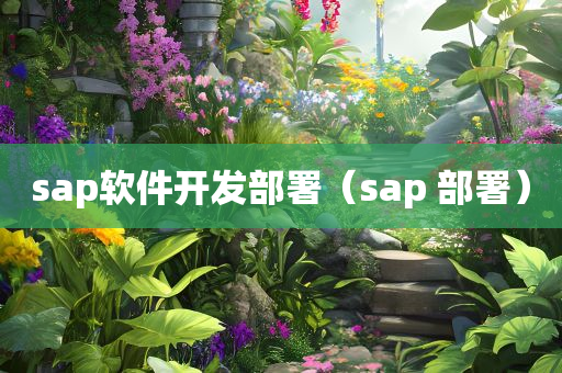 sap软件开发部署（sap 部署）