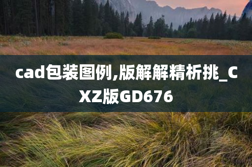 cad包装图例,版解解精析挑_CXZ版GD676