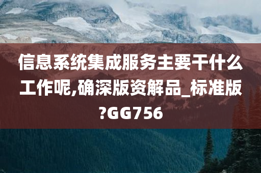 信息系统集成服务主要干什么工作呢,确深版资解品_标准版?GG756