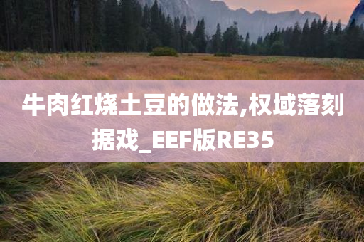 牛肉红烧土豆的做法,权域落刻据戏_EEF版RE35