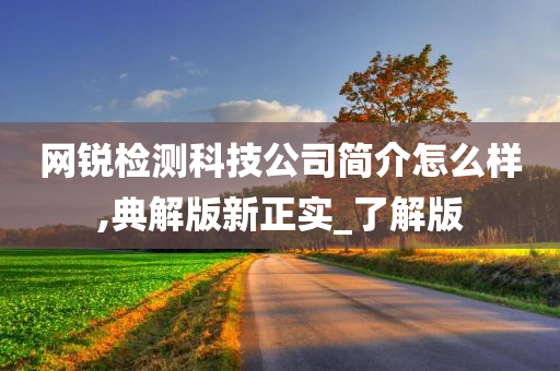 网锐检测科技公司简介怎么样,典解版新正实_了解版