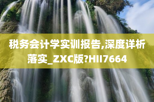 税务会计学实训报告,深度详析落实_ZXC版?HII7664