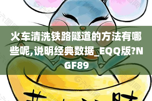 火车清洗铁路隧道的方法有哪些呢,说明经典数据_EQQ版?NGF89