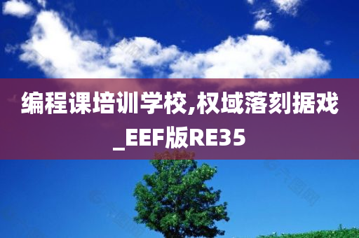 编程课培训学校,权域落刻据戏_EEF版RE35