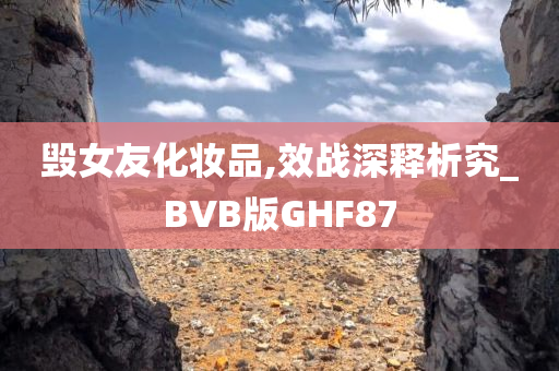 毁女友化妆品,效战深释析究_BVB版GHF87