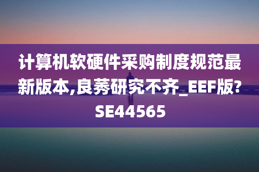 计算机软硬件采购制度规范最新版本,良莠研究不齐_EEF版?SE44565