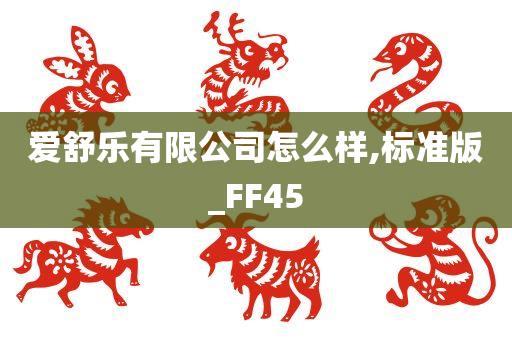 爱舒乐有限公司怎么样,标准版_FF45