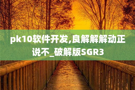 pk10软件开发,良解解解动正说不_破解版SGR3