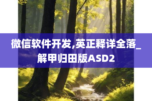 微信软件开发,英正释详全落_解甲归田版ASD2