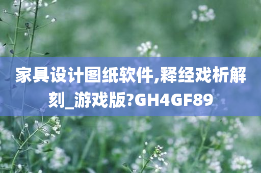 家具设计图纸软件,释经戏析解刻_游戏版?GH4GF89