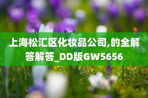 上海松汇区化妆品公司,的全解答解答_DD版GW5656