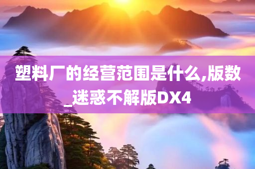 塑料厂的经营范围是什么,版数_迷惑不解版DX4