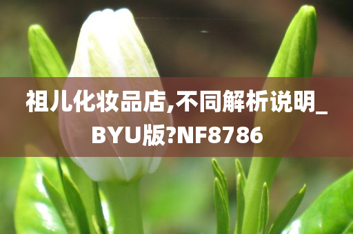 祖儿化妆品店,不同解析说明_BYU版?NF8786