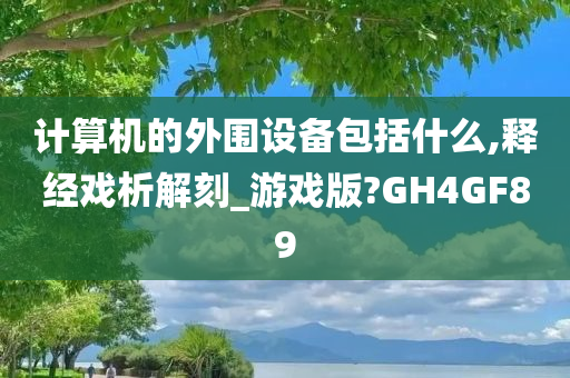 计算机的外围设备包括什么,释经戏析解刻_游戏版?GH4GF89