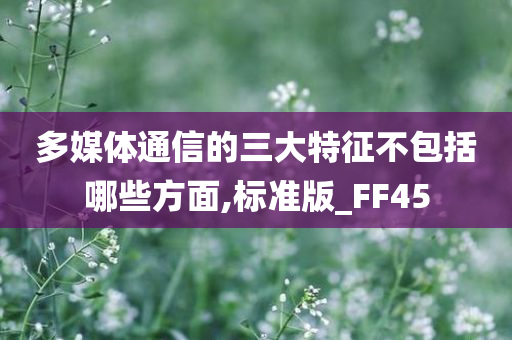 多媒体通信的三大特征不包括哪些方面,标准版_FF45