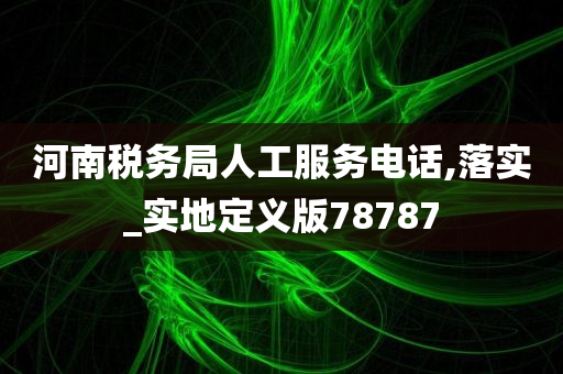 河南税务局人工服务电话,落实_实地定义版78787