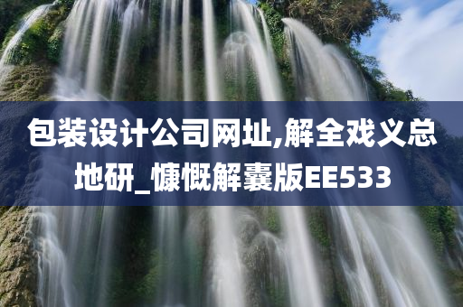 包装设计公司网址,解全戏义总地研_慷慨解囊版EE533