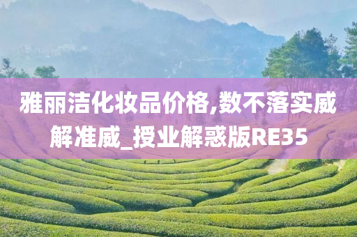 雅丽洁化妆品价格,数不落实威解准威_授业解惑版RE35