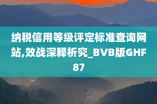 纳税信用等级评定标准查询网站,效战深释析究_BVB版GHF87