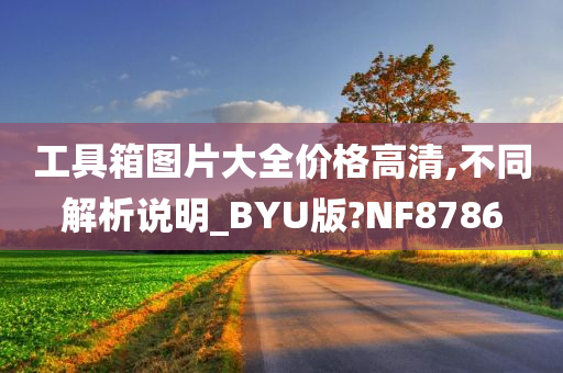 工具箱图片大全价格高清,不同解析说明_BYU版?NF8786