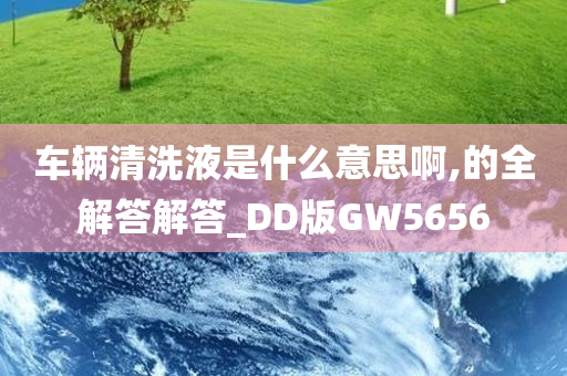 车辆清洗液是什么意思啊,的全解答解答_DD版GW5656