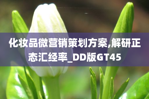 化妆品微营销策划方案,解研正态汇经率_DD版GT45