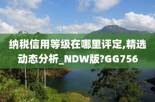 纳税信用等级在哪里评定,精选动态分析_NDW版?GG756