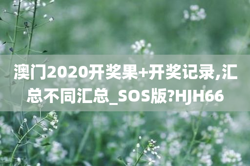 澳门2020开奖果+开奖记录,汇总不同汇总_SOS版?HJH66