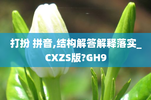 打扮 拼音,结构解答解释落实_CXZS版?GH9